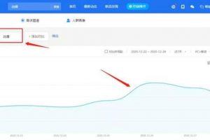 做偏門項目之賣動漫手辦，一個很細分的垂直領域項目！