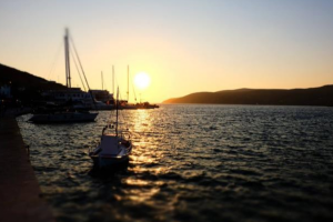 悶聲發財的項目，利潤率超700%的低門檻行業！