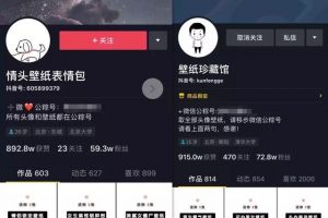 [抖音壁紙號]分享抖音壁紙號年賺20W的玩法，一個冷門也偏門的正規網賺項目