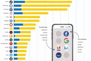 [TikTok賺錢(qián),國(guó)際版抖音]玩轉(zhuǎn)國(guó)際版抖音TikTok賺錢(qián)，TikTok賺錢(qián)的主要方式了解下！