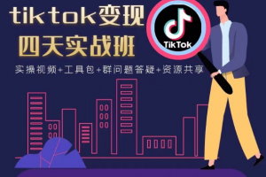 tiktok變現(xiàn)四天實(shí)戰(zhàn)班，連懟技術(shù)+矩陣玩法賺美金！價(jià)值998元