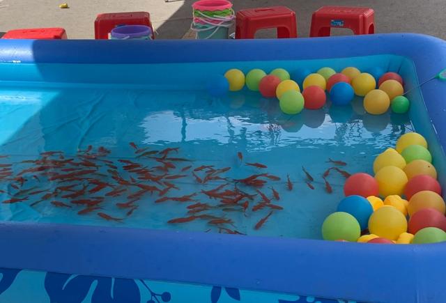 一個(gè)人干的小本生意一個(gè)人的小生意做什么好插圖3