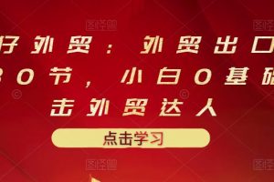 業(yè)仔外貿(mào)：外貿(mào)出口詳解30節(jié)，小白0基礎(chǔ)進(jìn)擊外貿(mào)達(dá)人 價值666元