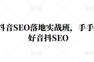 王通·抖音SEO落地實戰班，手?手帶你做好音抖??SEO