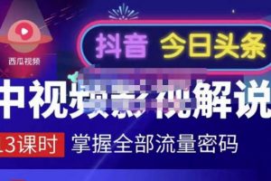 嚴如意·中視頻影視解說—掌握流量密碼，自媒體運營創收，批量運營賬號