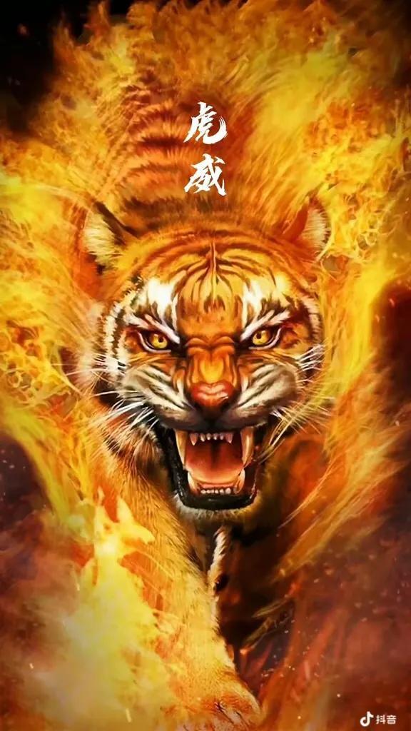 完結(jié)小說排行榜2022完結(jié)小說排行榜前十名巔峰之作插圖4