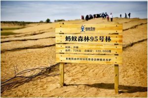 螞蟻森林暴露消費記錄通過螞蟻森林看消費記錄