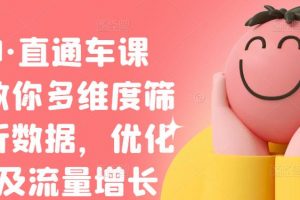 盜坤·直通車課程，教你多維度篩選分析數(shù)據(jù)，優(yōu)化店鋪及流量增長