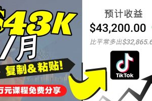 2022抖音國(guó)際版Tiktok賺錢項(xiàng)目：每天上傳一個(gè)視頻就輕松月入$43200美元