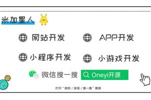 網(wǎng)站開發(fā)公司
