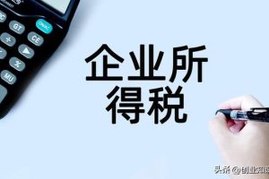 企業(yè)所得稅稅率5%10%25%企業(yè)所得稅稅率是多少