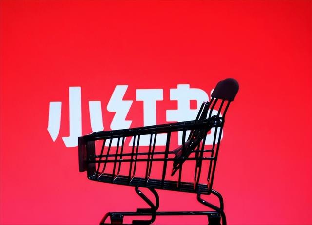 小紅書買500個粉絲小紅書沒有500粉絲怎么推廣插圖