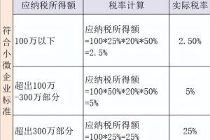 企業(yè)所得稅稅率5%10%25%企業(yè)所得稅稅率5%_10%_25%