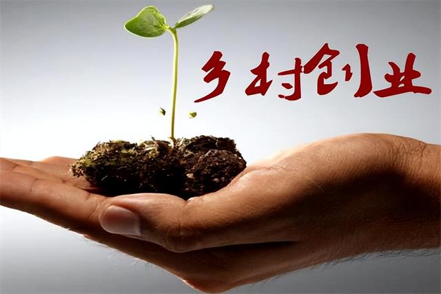 50個辦廠好項目50個辦廠好項目生產插圖2