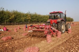 尋找藥廠合作種植藥材和藥廠合作做一個中藥材種植基地