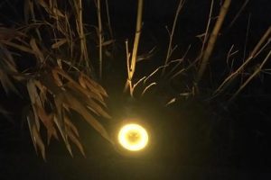 拼多多—分搶真實(shí)嗎拼多多一分搶購(gòu)是真的嗎