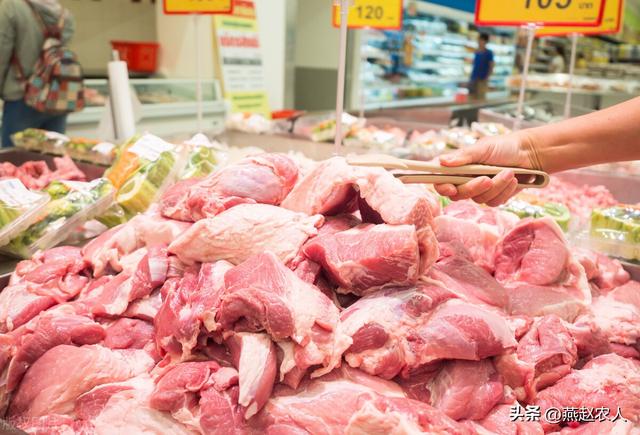 2022年養(yǎng)什么掙錢最快的2022養(yǎng)殖業(yè)什么最賺錢農(nóng)村插圖2