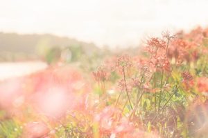 超a禁欲系網名女超a禁欲系網名女