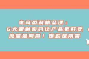 電商 盈利精品課：6大盈利 密碼讓產(chǎn)品更好賣，流量是剛需！爆款是剛需