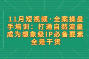 11月短視頻·全案操盤手培訓：打通自然流量 成為想象級IP必備要素 全是干貨