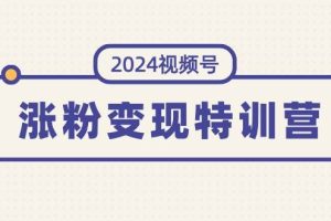 2024視頻號-漲粉變現特訓營：一站式打造穩定視頻號漲粉變現模式（10節）