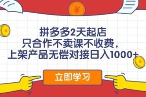 拼多多2天起店，只合作不賣課不收費，上架產品無償對接日入1000+